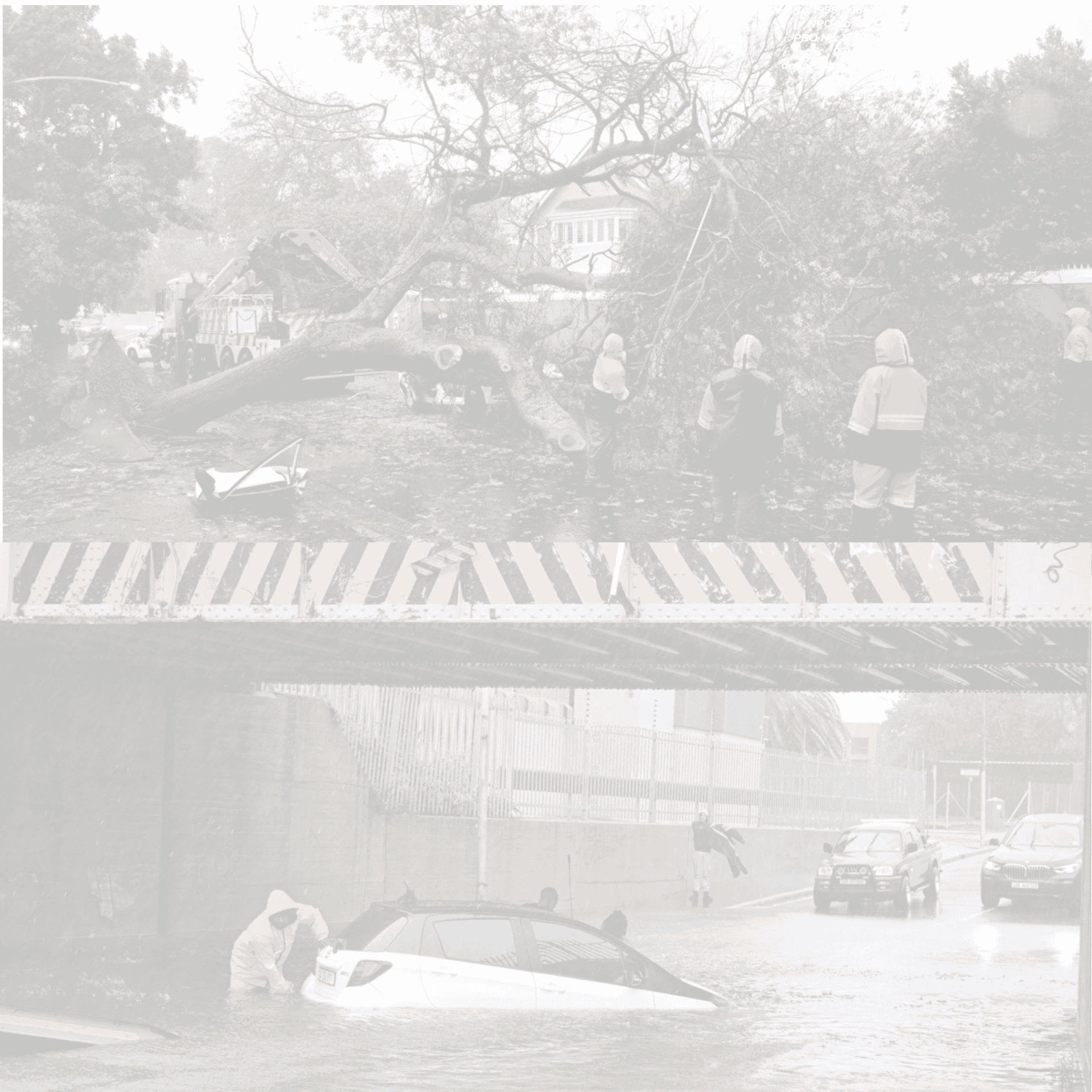 Disaster-Relief-Letter